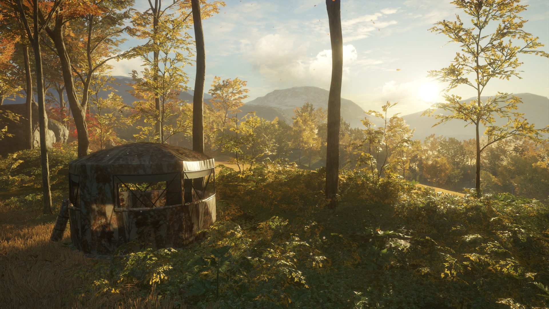 thehunter call of the wild tents & ground blinds