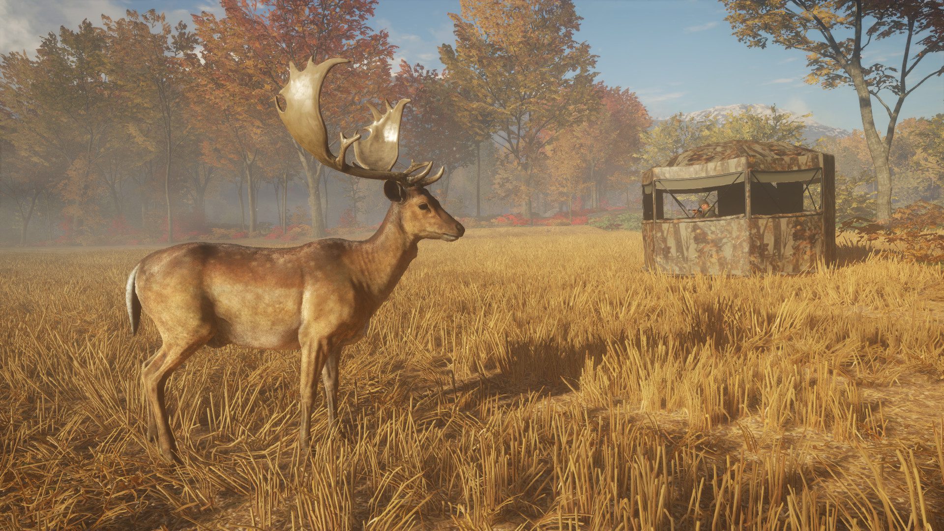 thehunter call of the wild tents & ground blinds
