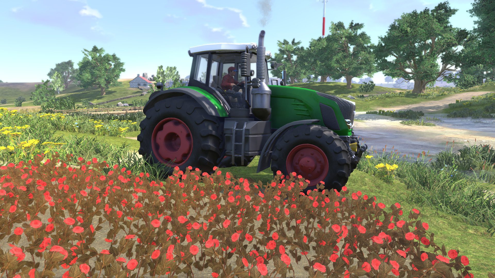 farmer's dynasty