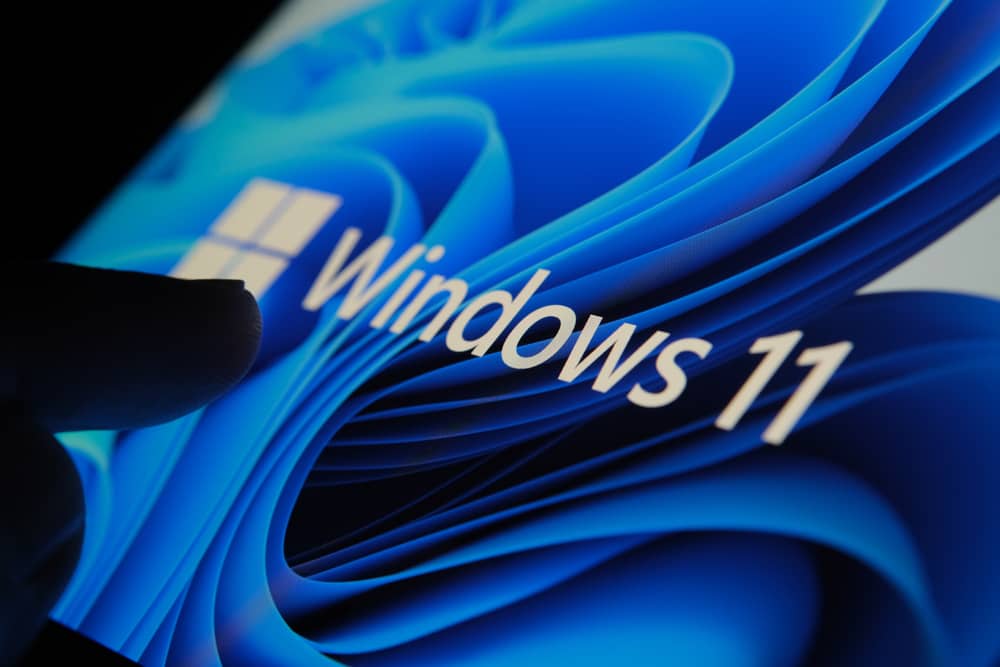 windows 11 pro oem
