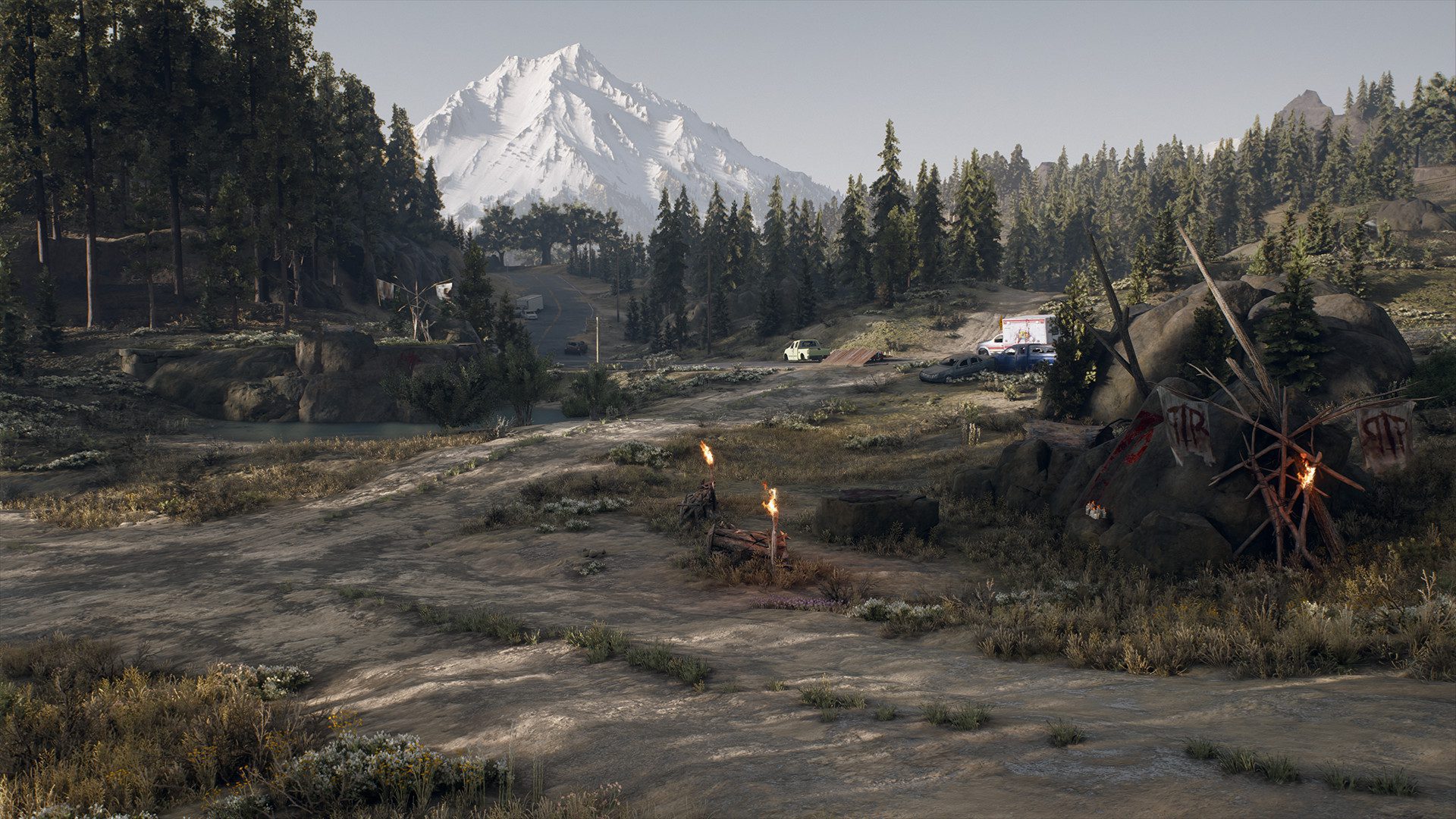 days gone