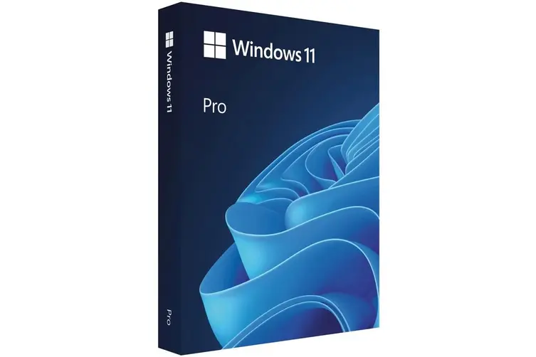 windows 11 pro oem