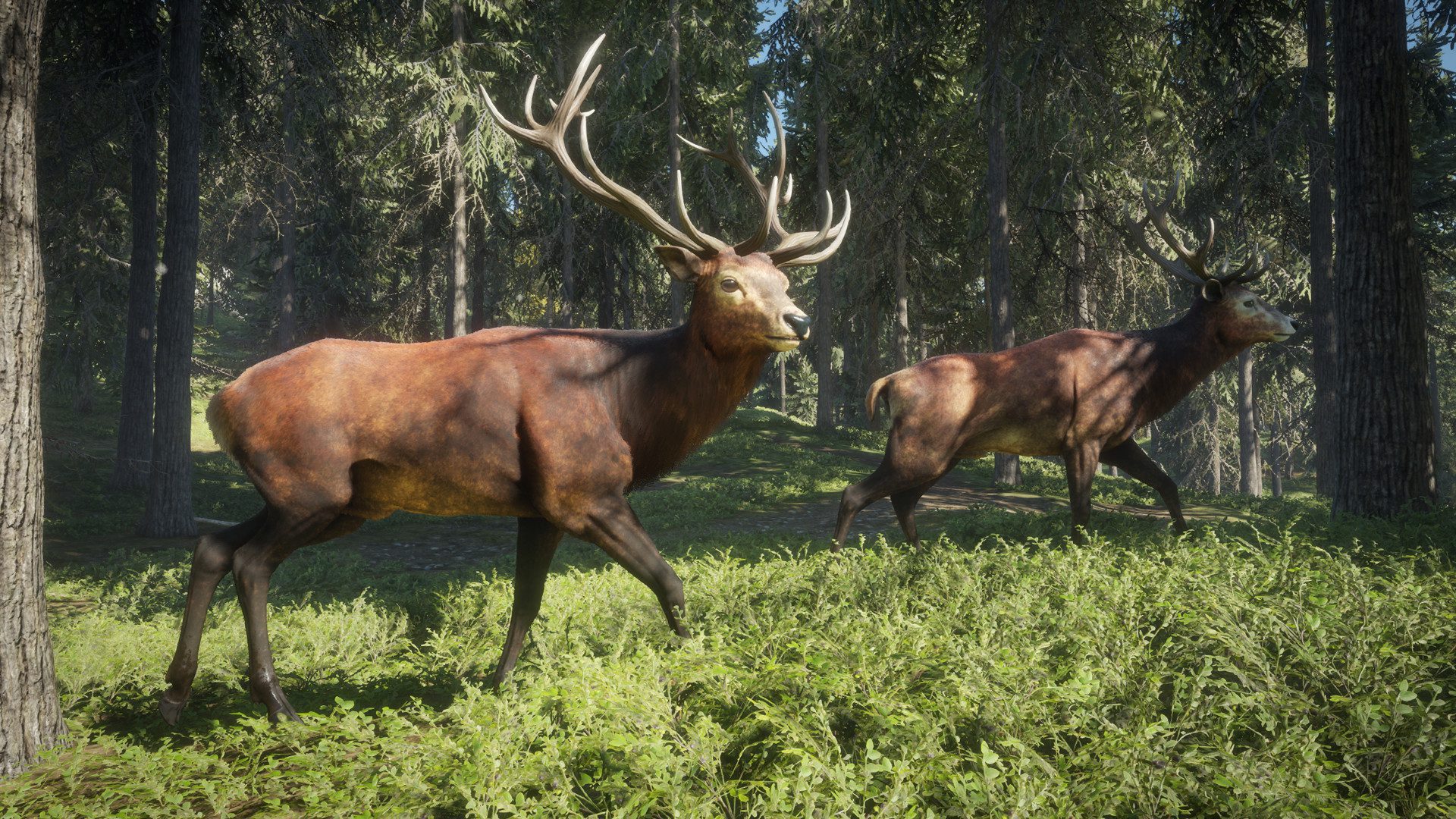 thehunter call of the wild