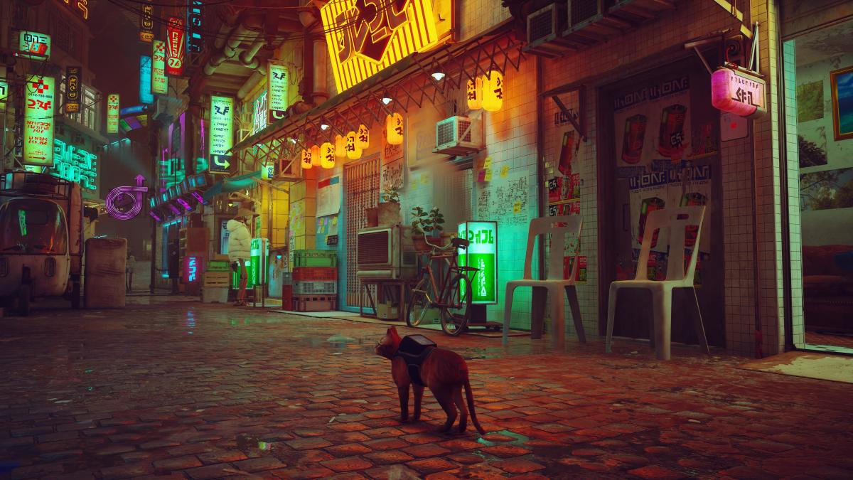 stray